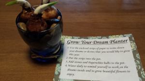 10891671_10205823074119465_8819589218299430351_n